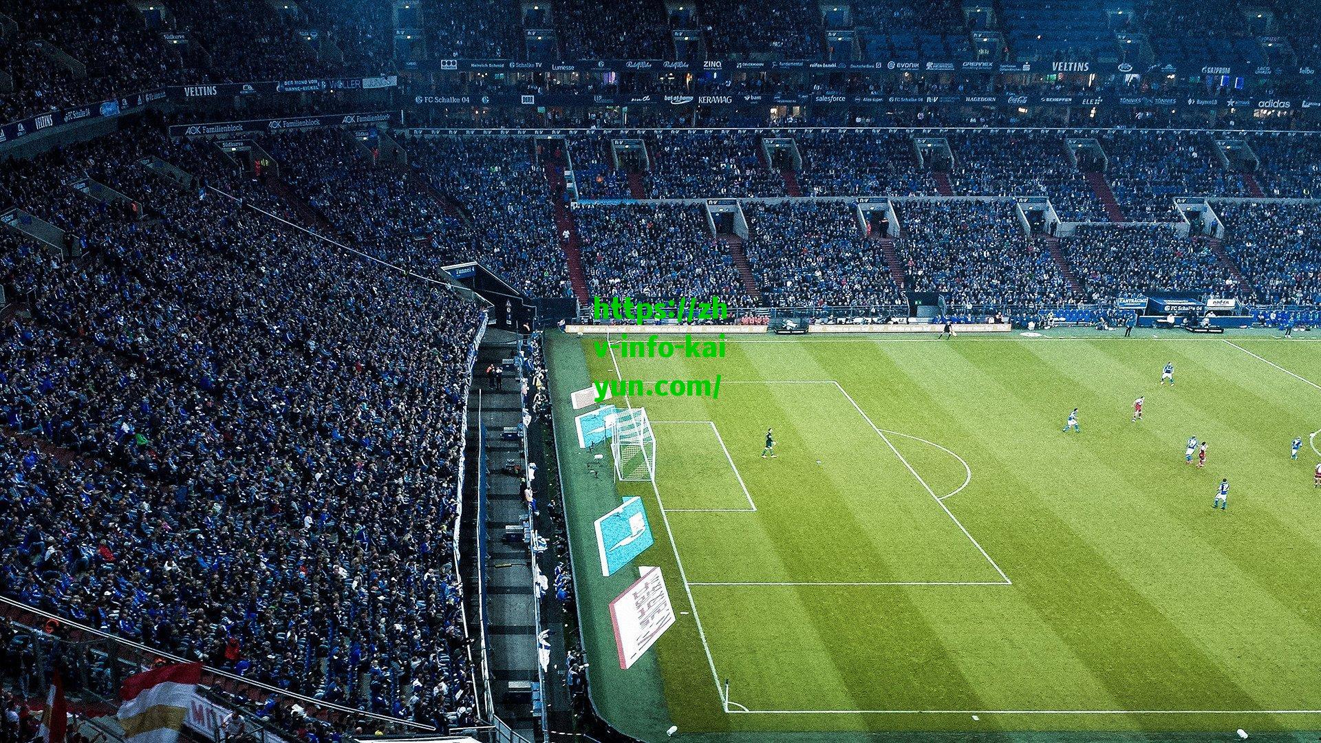 开云官网|塔雷米确认与国米长期合作愿景，若条件允许，愿为蓝黑军团效力多年